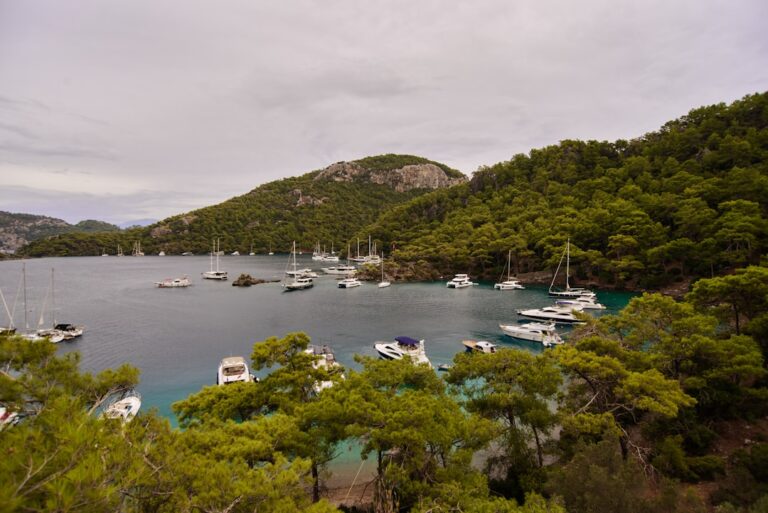 Why Quality Travel Essentials Matter for Your Adventures